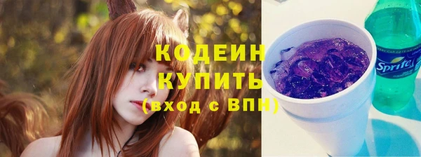 индика Волоколамск