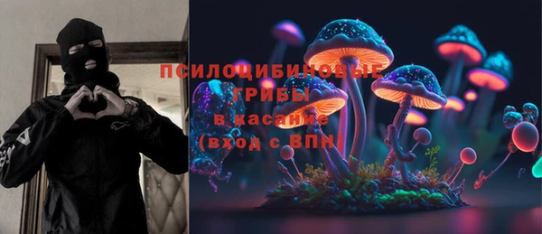СК Володарск