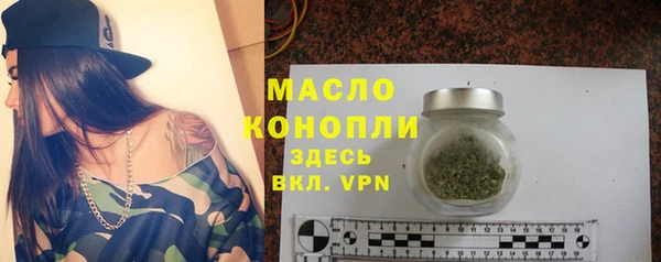индика Волоколамск