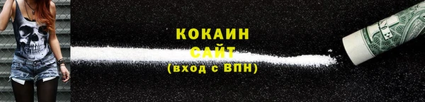 индика Волоколамск