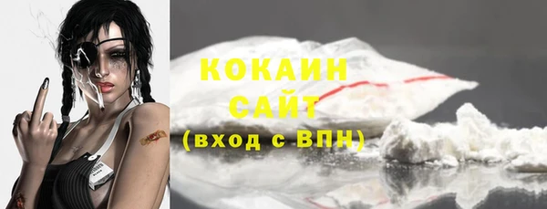 индика Волоколамск