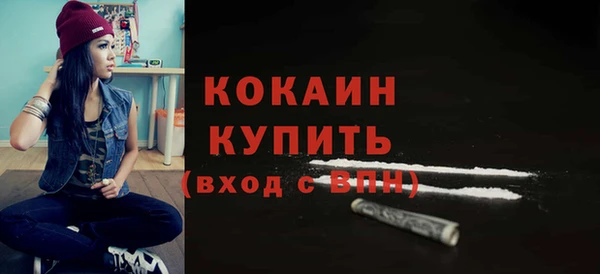 индика Волоколамск