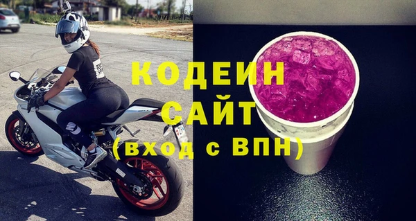 индика Волоколамск