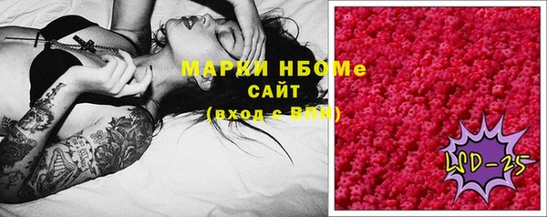 индика Волоколамск