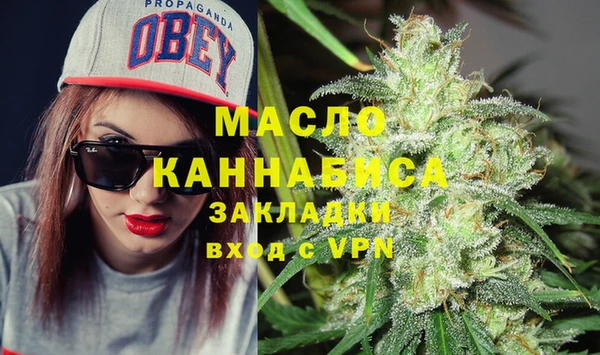 индика Волоколамск