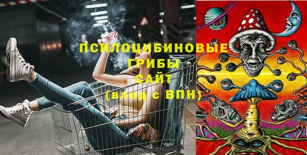 индика Волоколамск