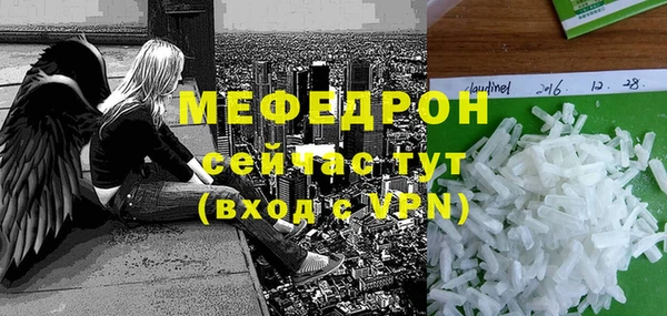 индика Волоколамск