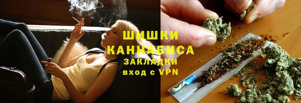 индика Волоколамск
